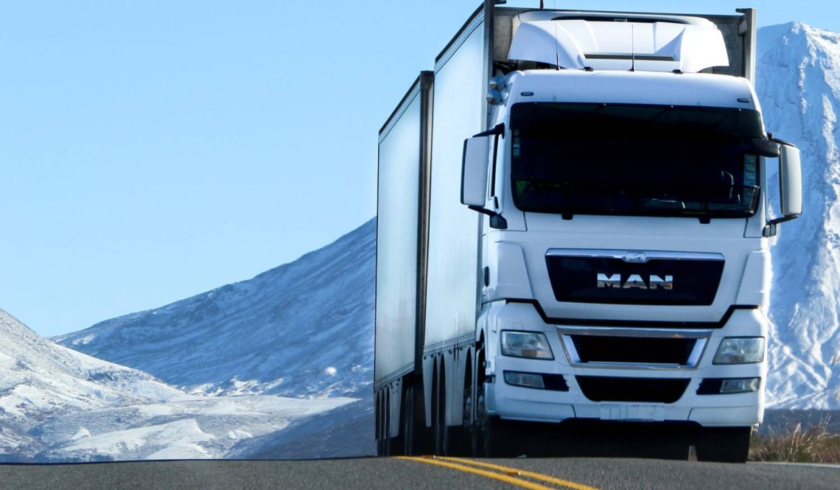 local movers local movers